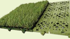 Surface  grass